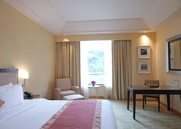 The Grand New Delhi Hotel